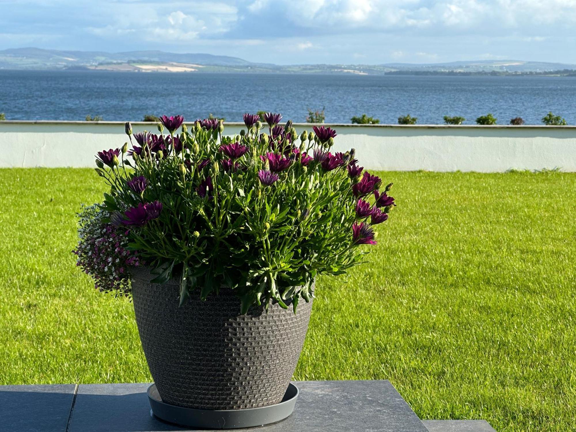 Sea Vista - Rathmullan Villa Eksteriør billede