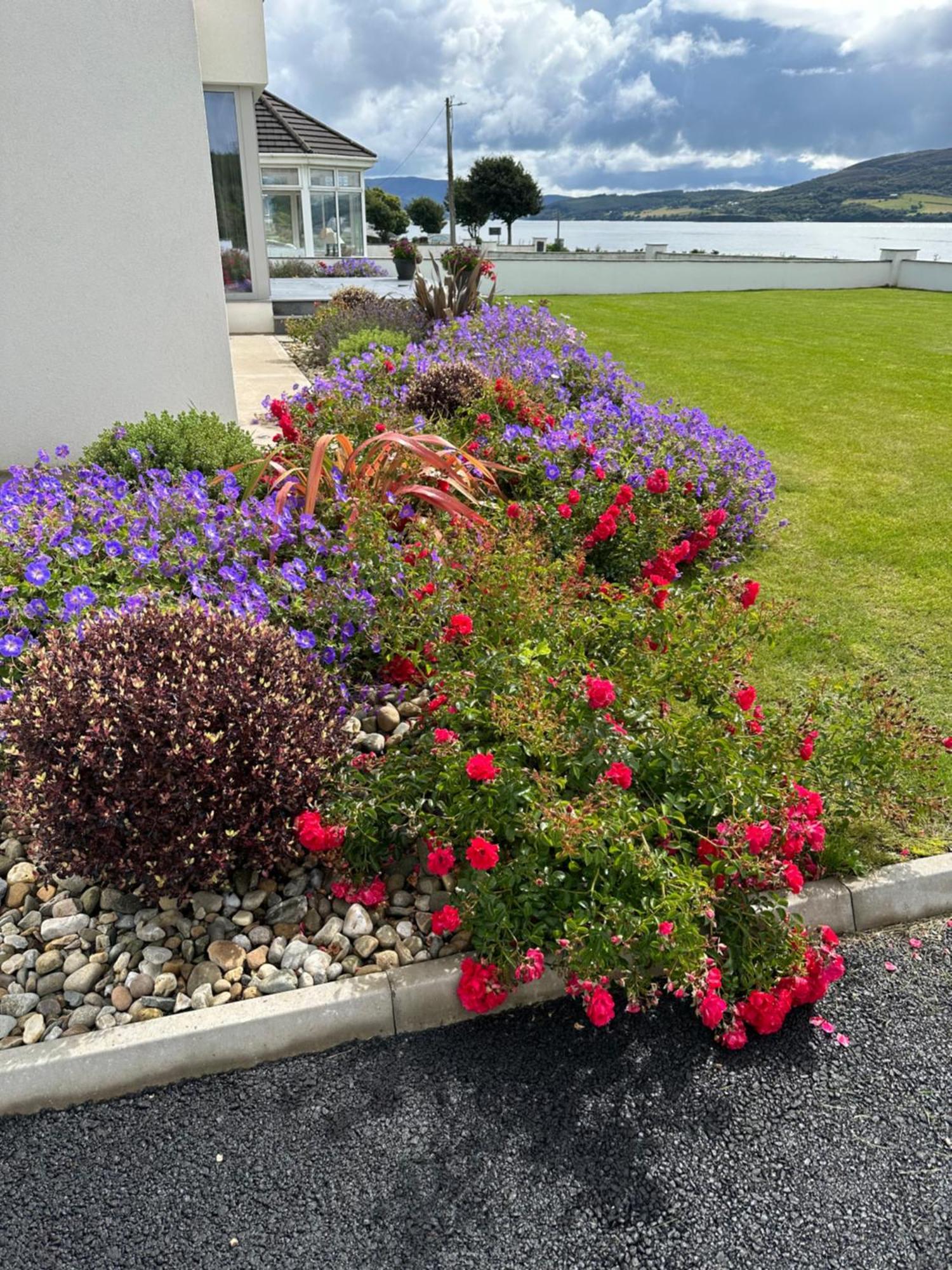 Sea Vista - Rathmullan Villa Eksteriør billede